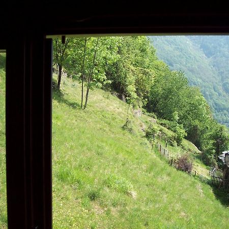 Appartamentino Nel Bosco Sondrio Exterior photo