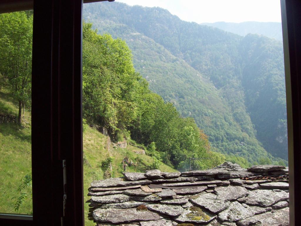 Appartamentino Nel Bosco Sondrio Exterior photo